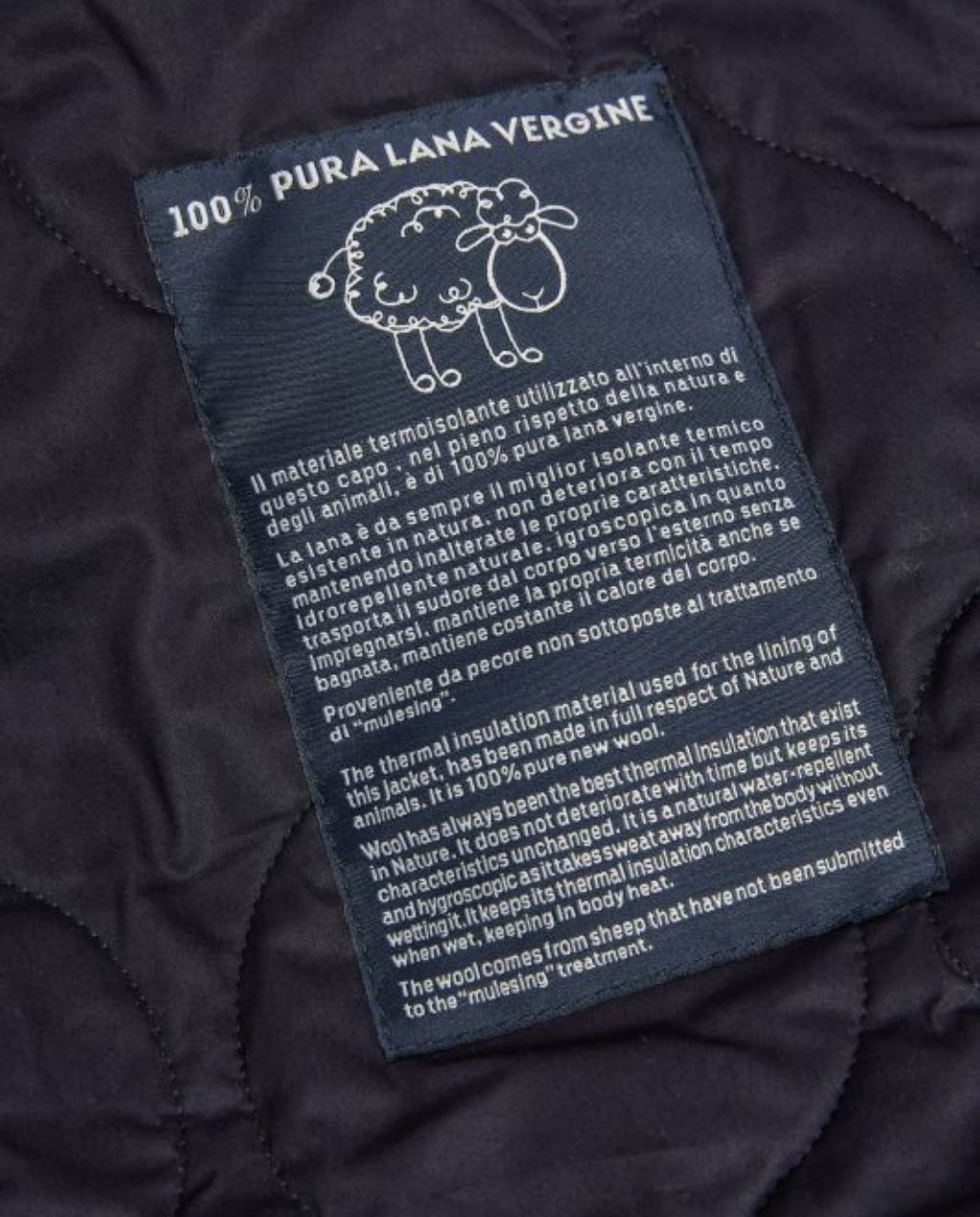 Caban 7051-WX - Dark Green