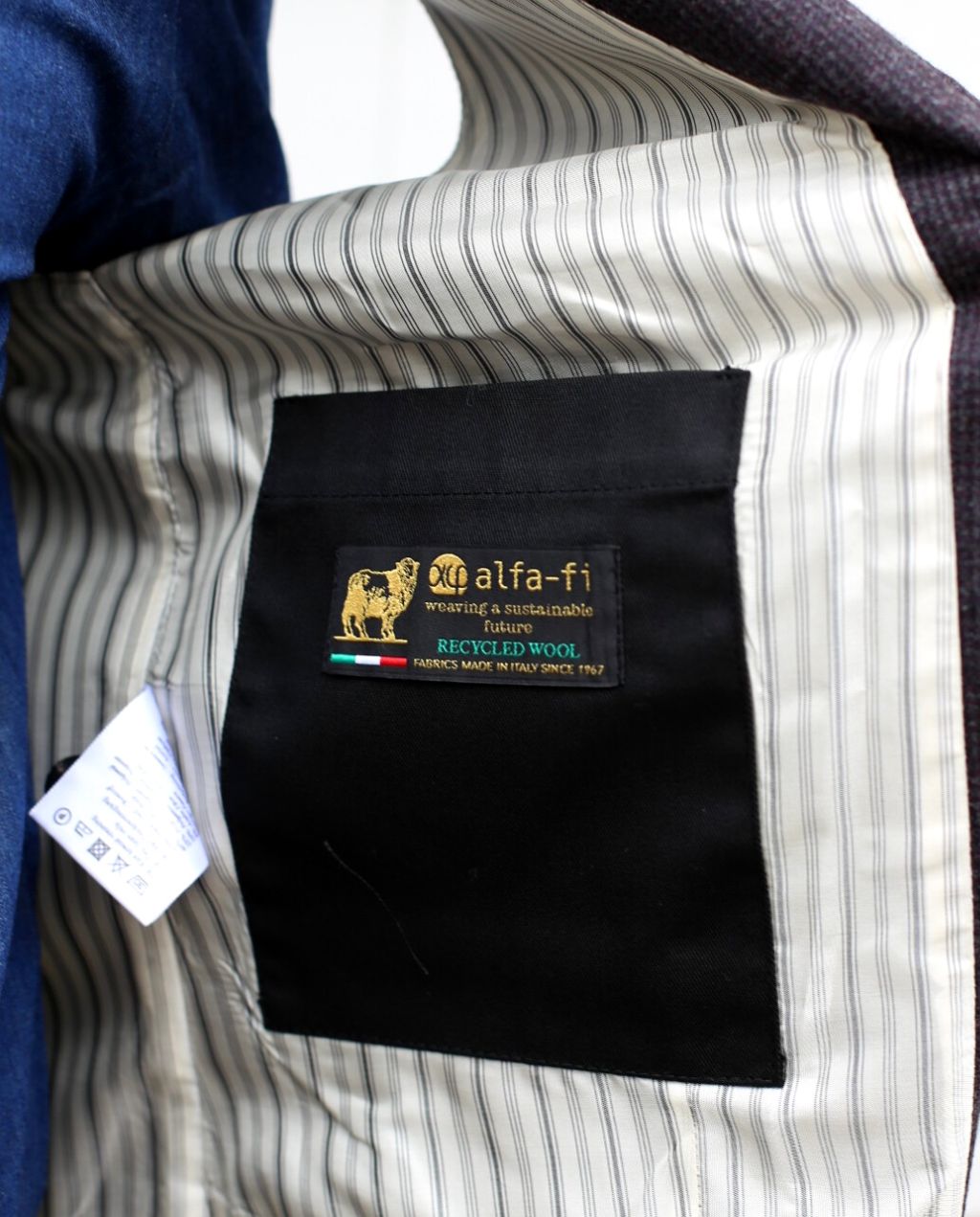 Canna Xenio Gillet grey